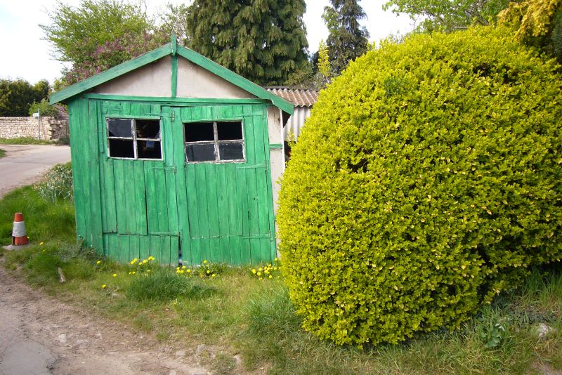 a green wooden shed near a small bush
