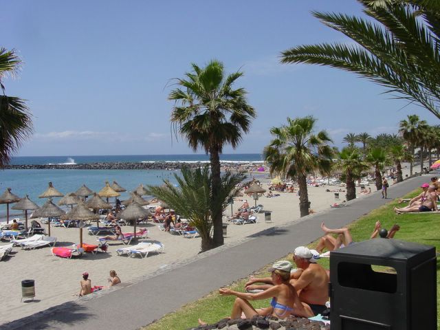 there are many people on the beach with grass and palm trees