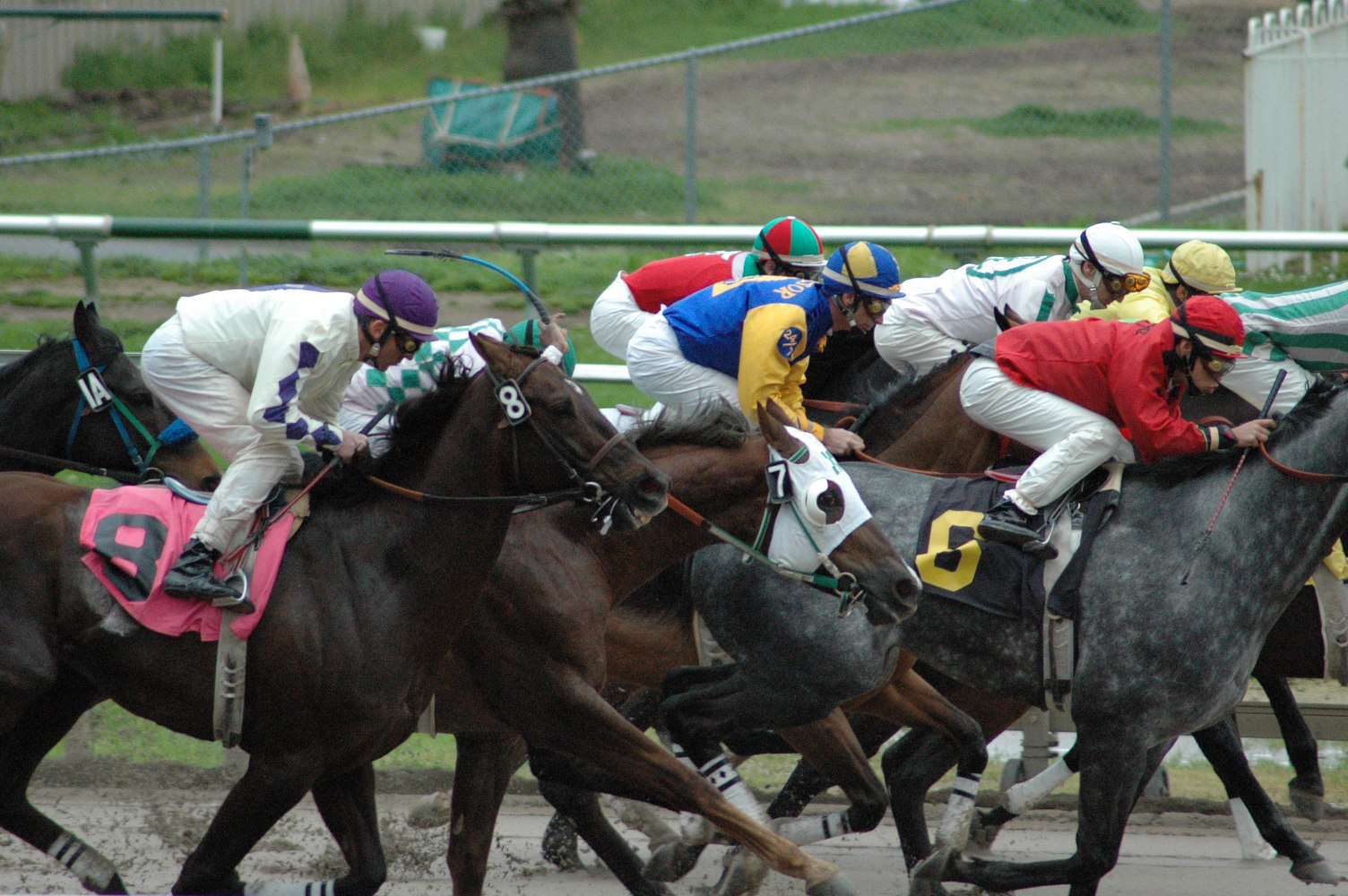 a line of horses racing in the sand at a race track