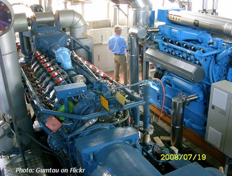 a man looking through a pipe machine at a blue plant