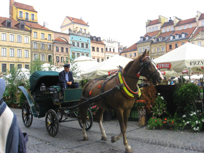 a person riding a horse drawn carriage on a street
