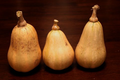 a group of three different pears sitting on a table