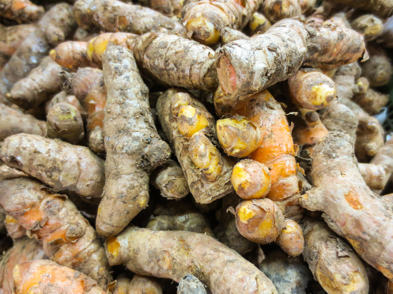 a pile of fresh raw and cut up orange ginger