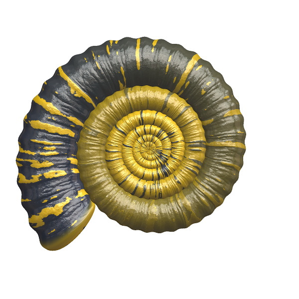 yellow, black and grey spiral shaped object on white
