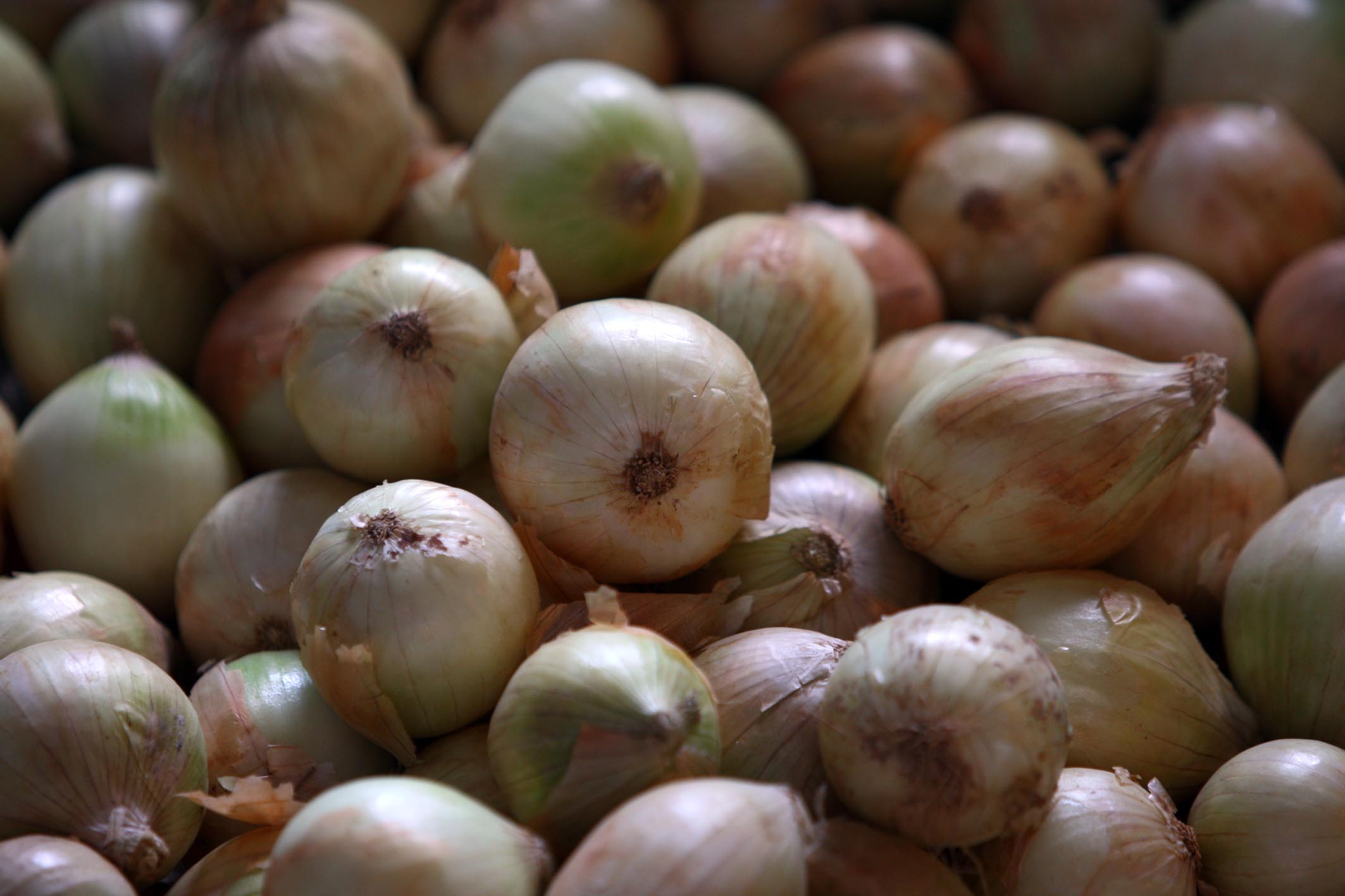 some onions piled up together with very little dirt on them