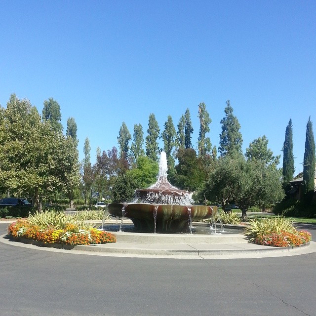 an empty park with a fountain and a bunch of trees