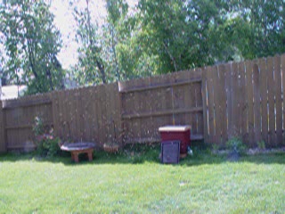 an outside area of a backyard with several trash cans, picnic tables and a dog bowl