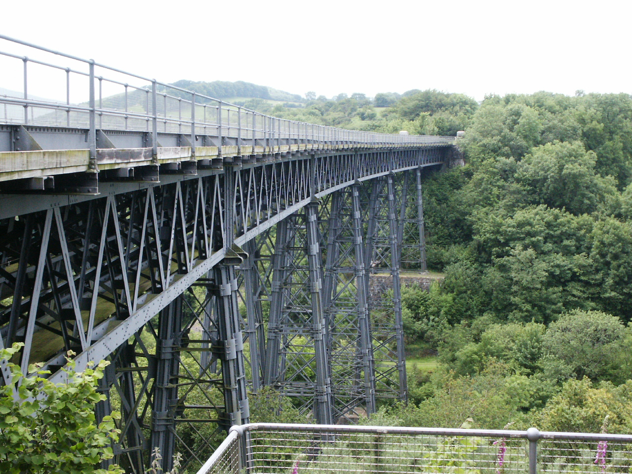 a train crosses over a metal bridge above some trees