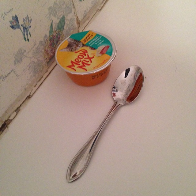 a spoon sitting on top of an ice cream dish