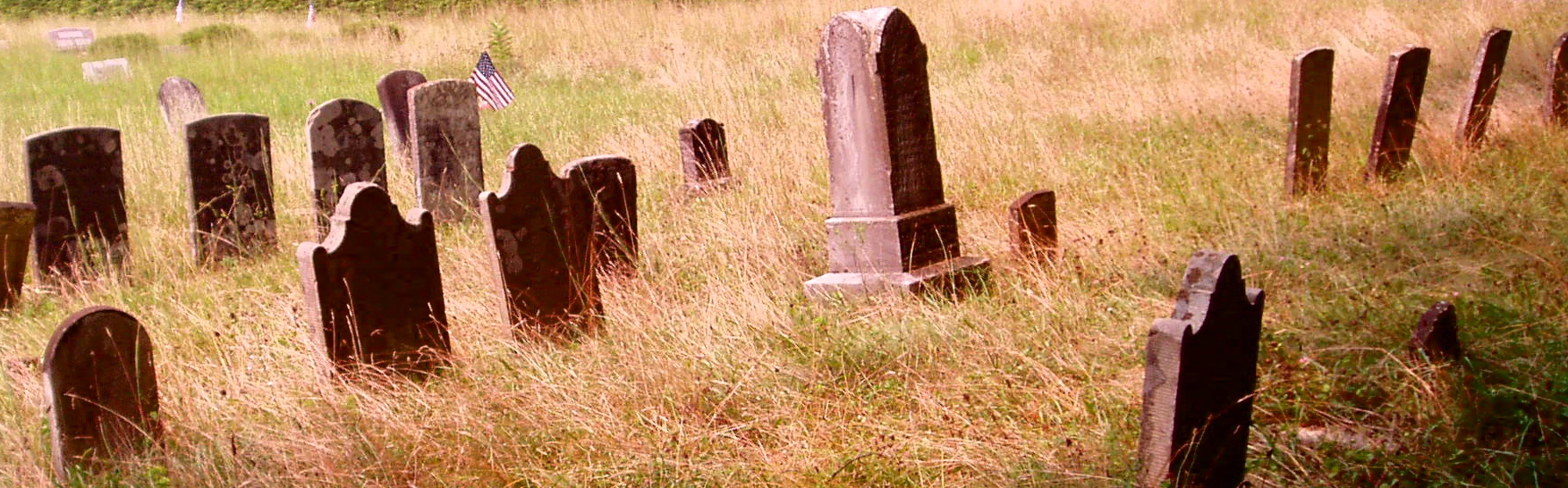 a view of a grassy field with several graves in it