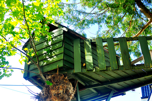 a tree house that is in the air with nches