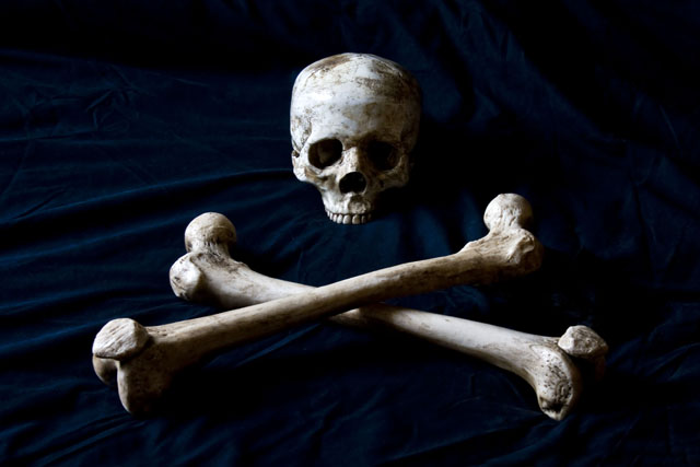 a skeleton is lying down with three bones in the middle