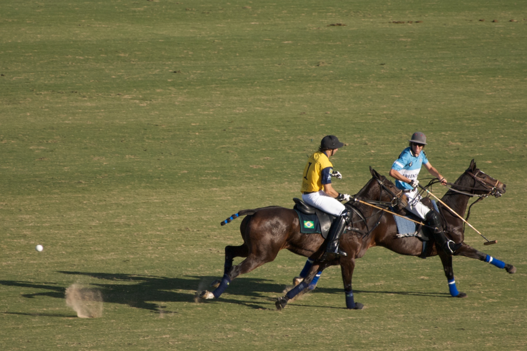 two people are on horseback playing polo in the grass