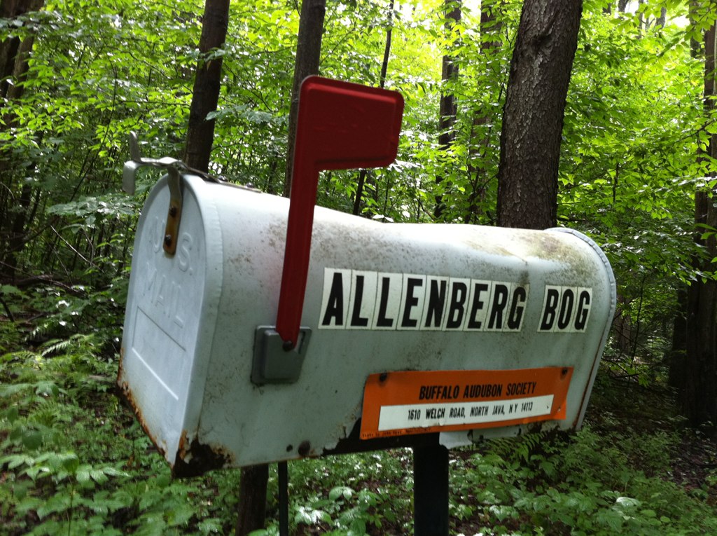 a mail box with the letters alleenberg bob attached to it