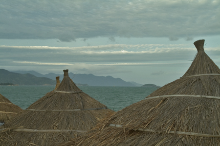 the straw umbrellas are lined up by the ocean