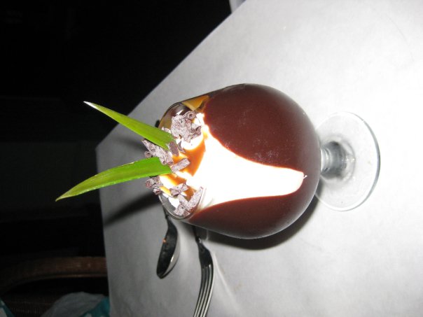 a wine glass with an orange juice, ice and a green plant