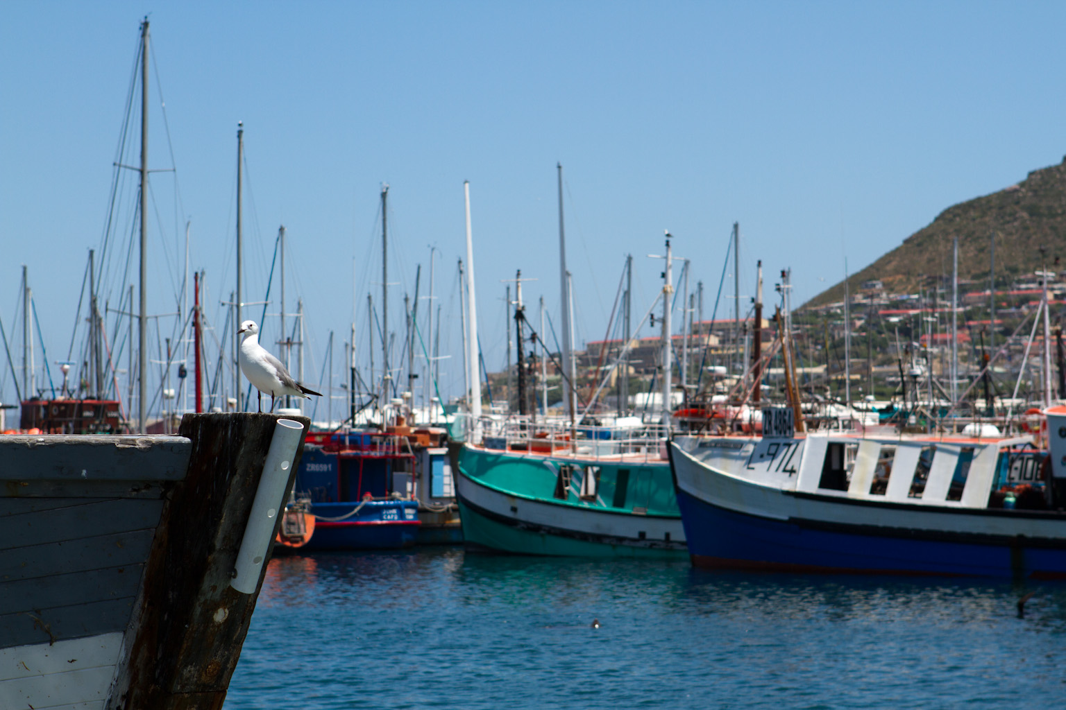 there are a lot of boats that are parked in the water