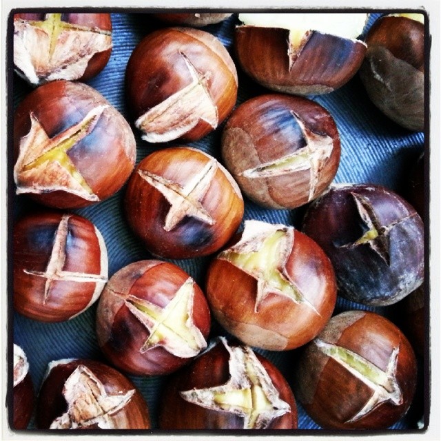 a group of chestnuts laying on top of a blue table
