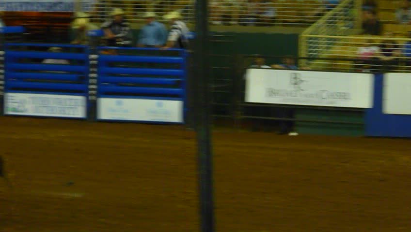 an image of a man at a rodeo