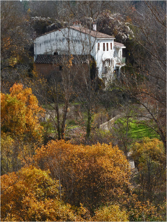 the house is surrounded by trees with oranges