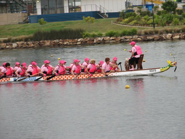 a group of rowers and their dogs are on the water