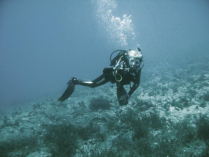 a scuba is diving in the water near the sandy beach