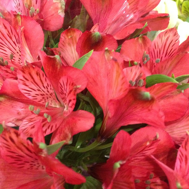 a bunch of flowers sit in a vase