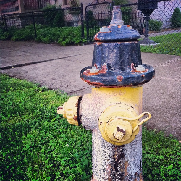 a close - up of a fire hydrant on the grass near some houses