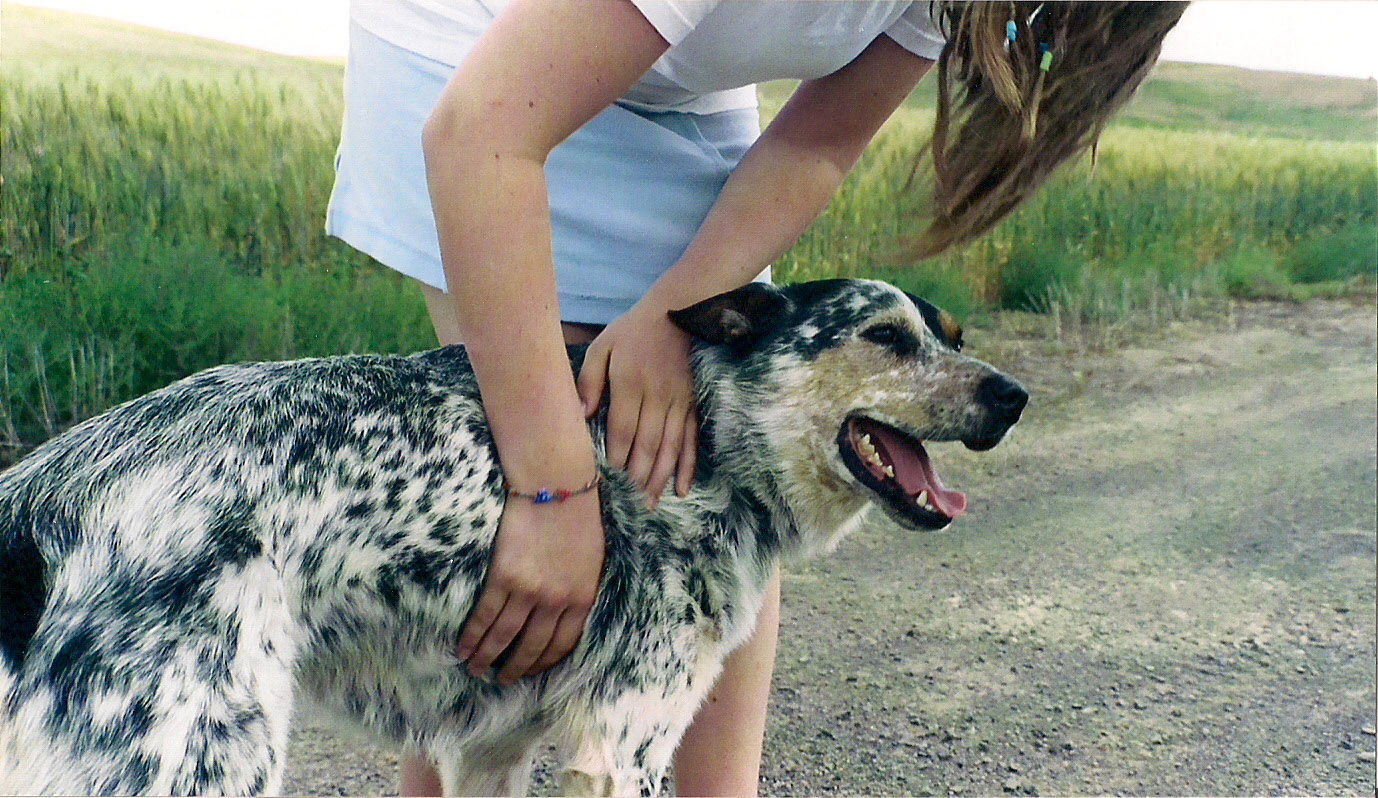 a person touching the head of a dog on a dirt road