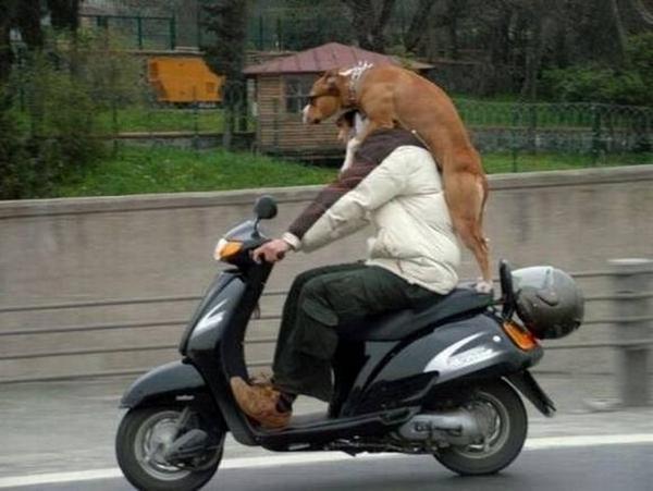 a man is riding on the back of a scooter