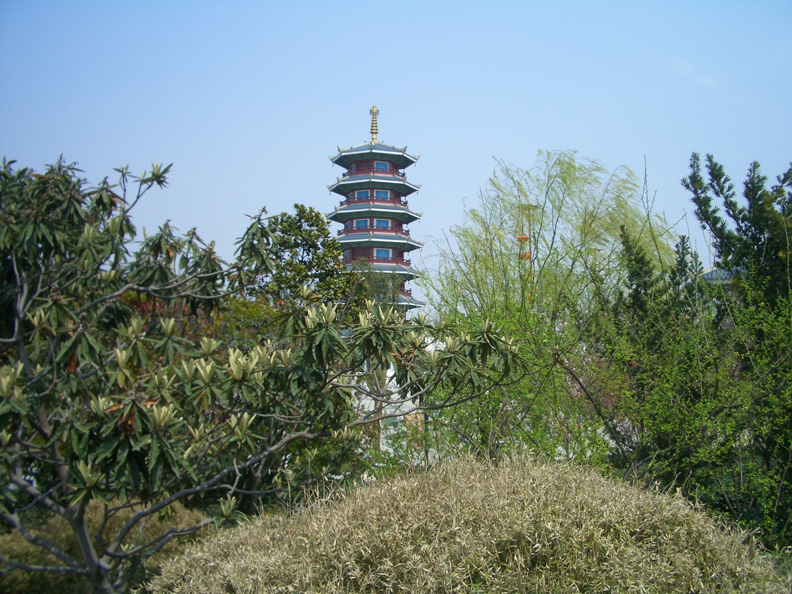 the pagoda is surrounded by some trees and bushes