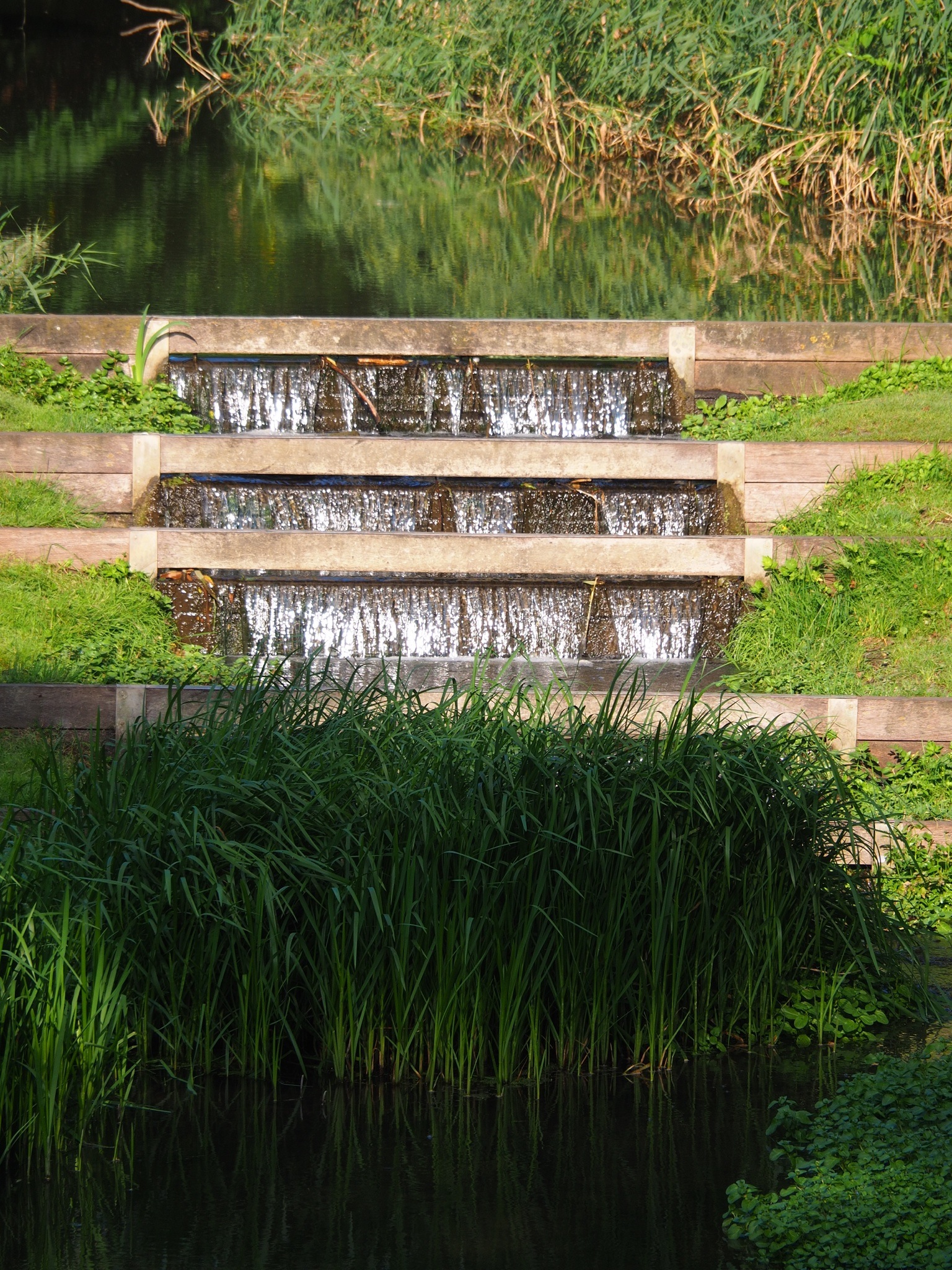 a stairway with stairs next to a body of water