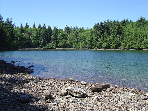 the shoreline of a lake is clear blue and green