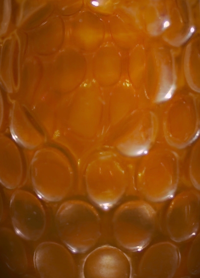 a large orange substance in some type of liquid