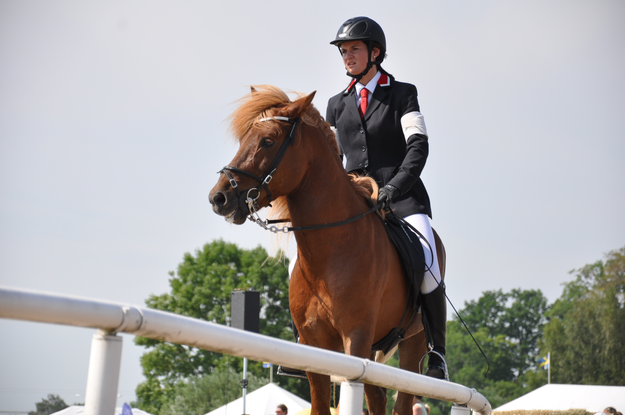 a man in equestrian gear riding a horse