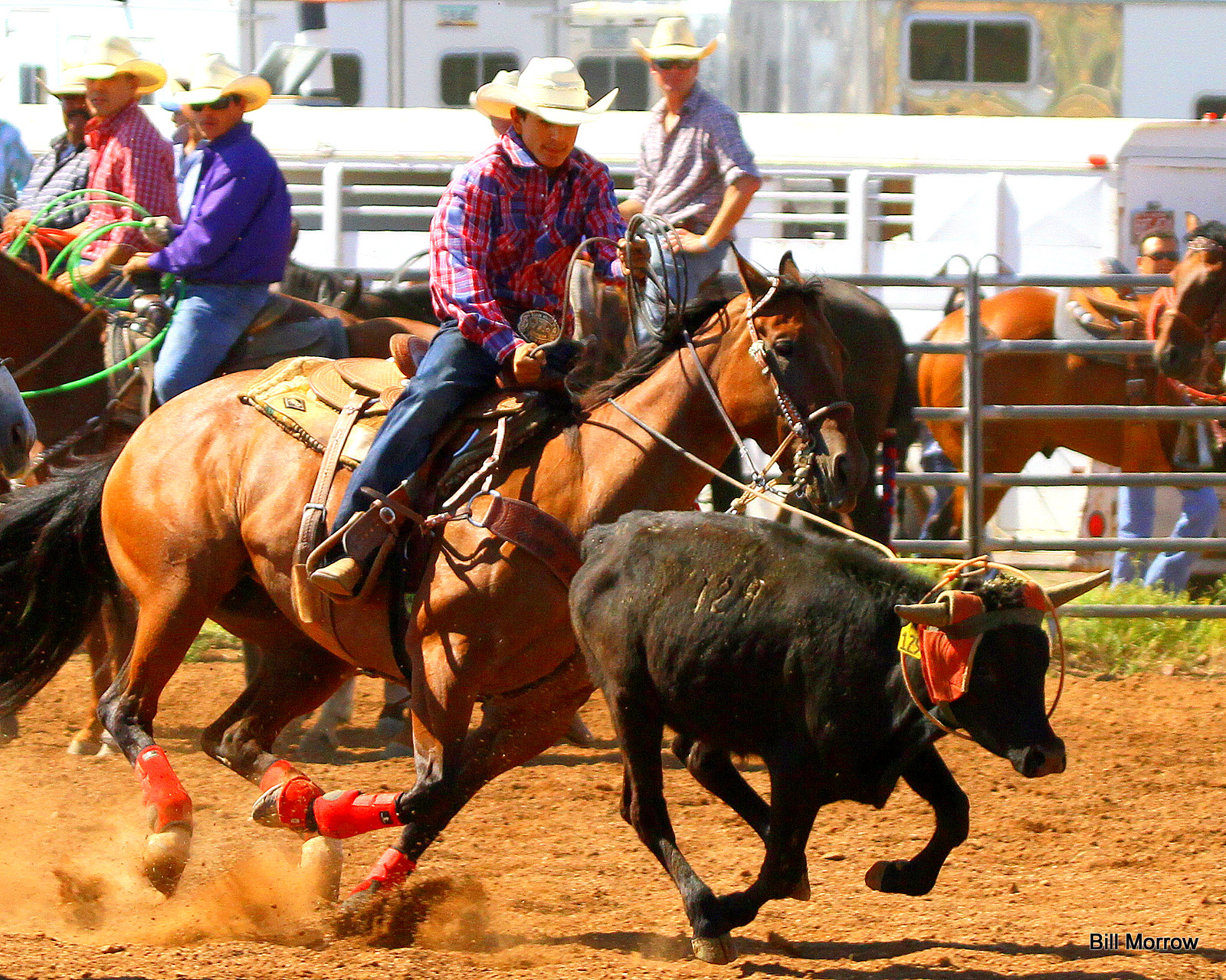 two men on horses chasing a steer with another man running