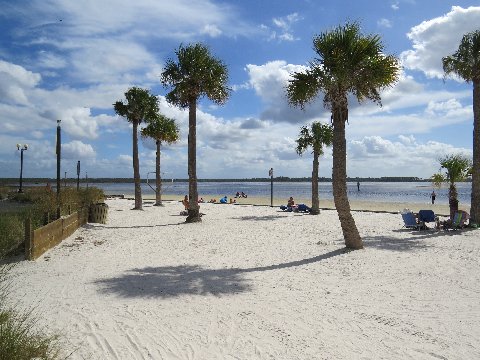 some palm trees are on the beach and one person is laying
