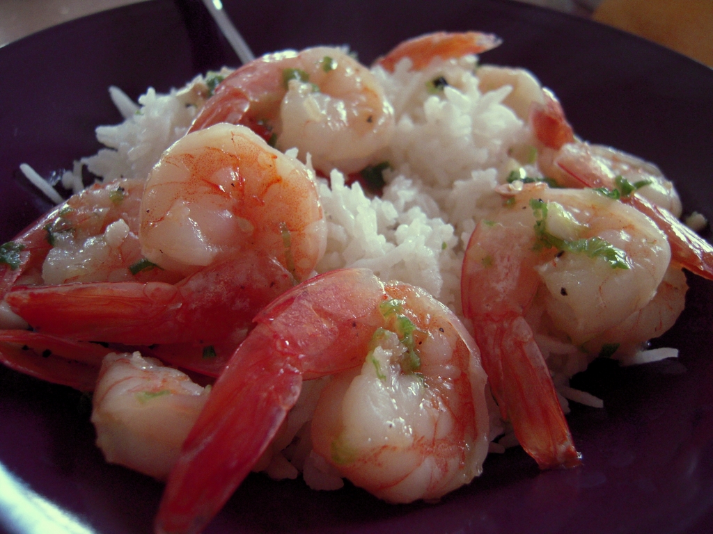 a close up of a plate of food with shrimp and rice