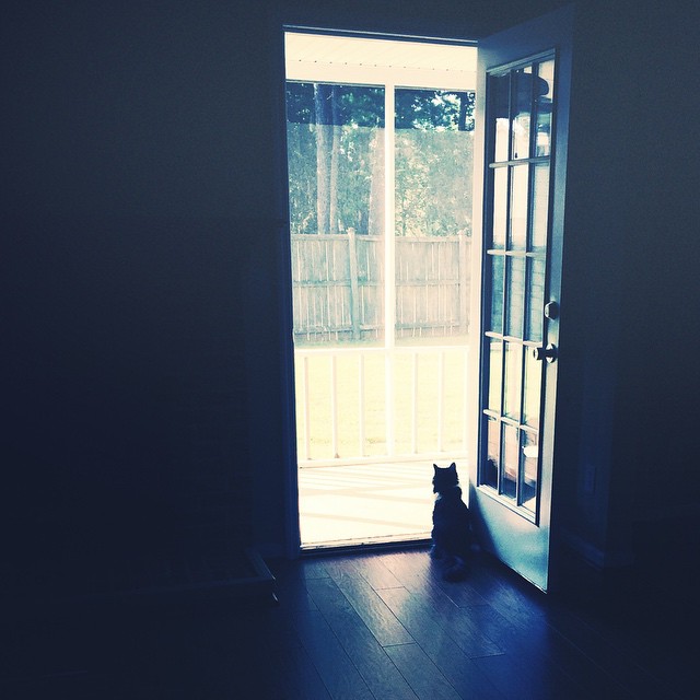 an open doorway with a small black dog sitting in front of it