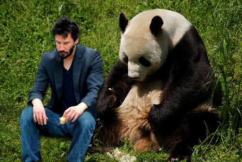 a man sits and eats food while looking at a large panda