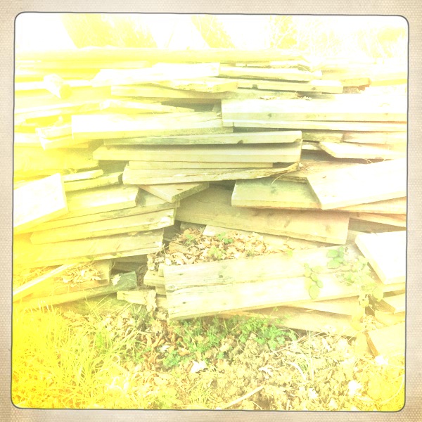 a pile of wood with leaves in the yard