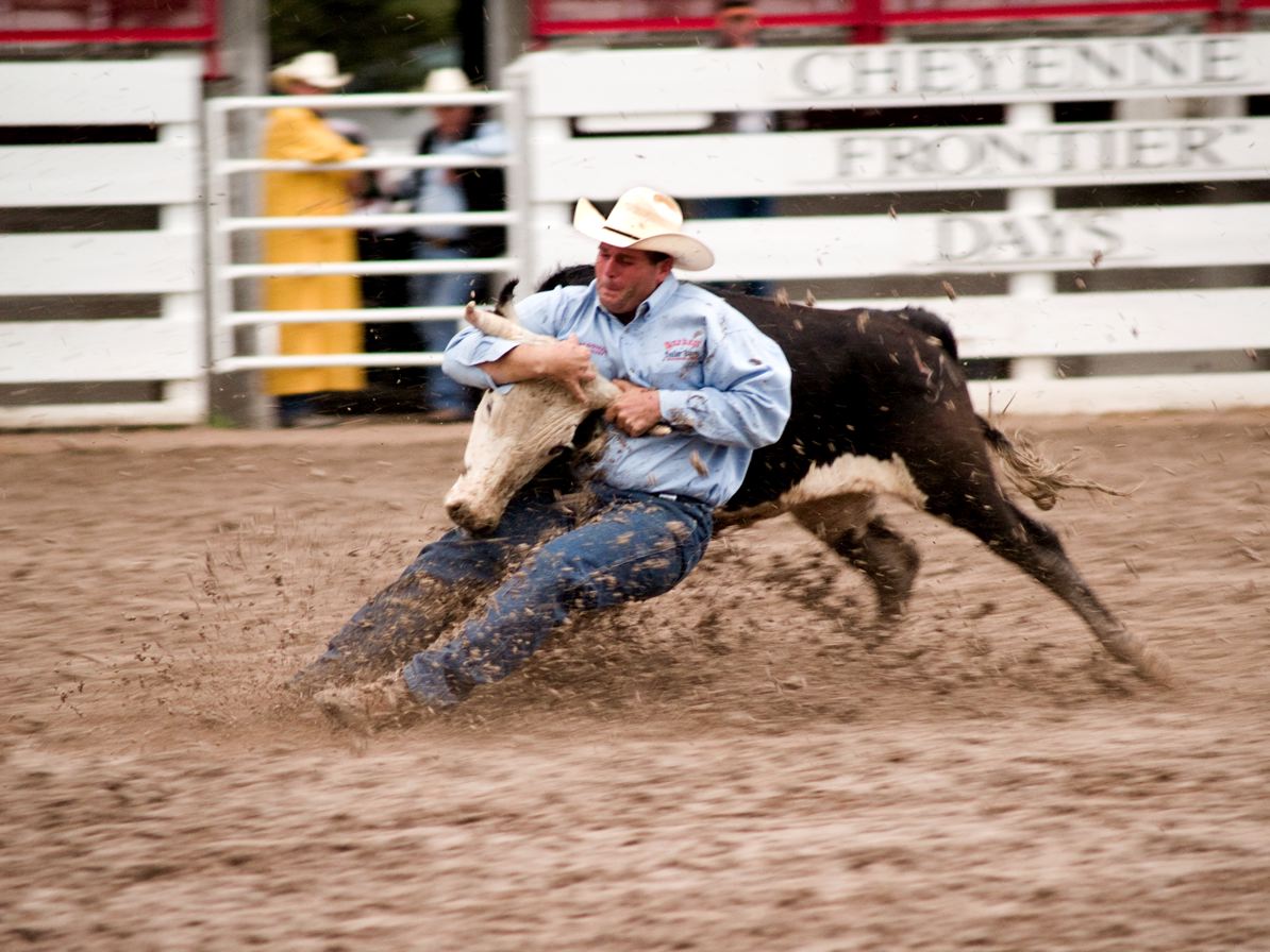 a man is trying to grab the calf off a truck