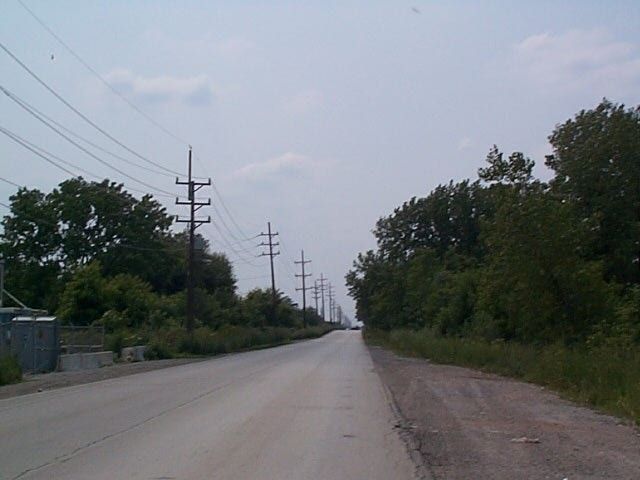 street next to trees and telephone poles in distance