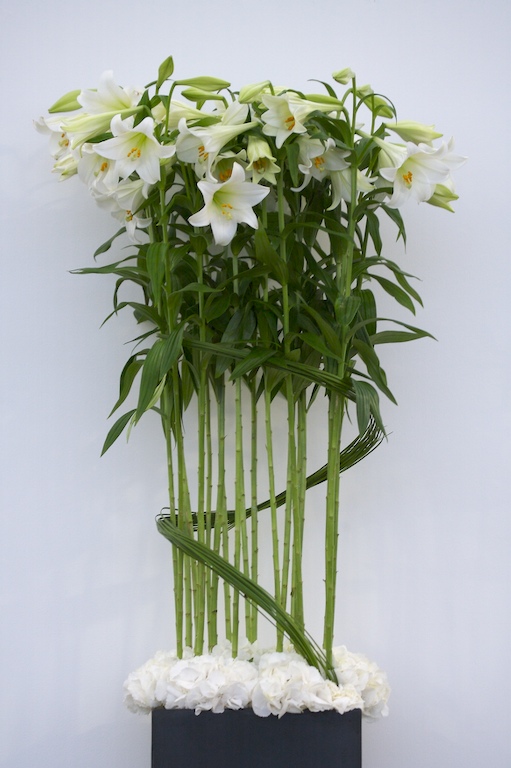 some white flowers and long stem leaves on a table