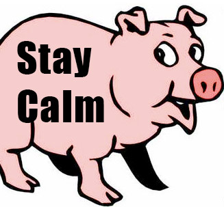 a pig with the words stay calm