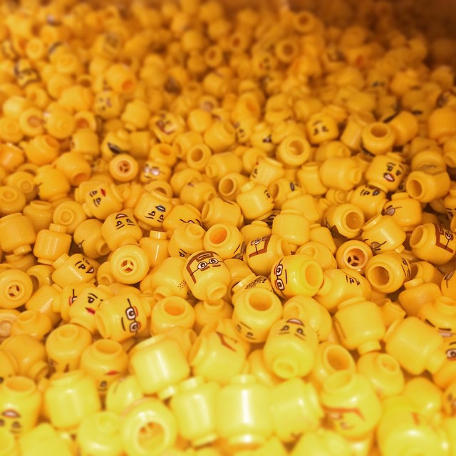 this is yellow macaroni shells ready to be cooked