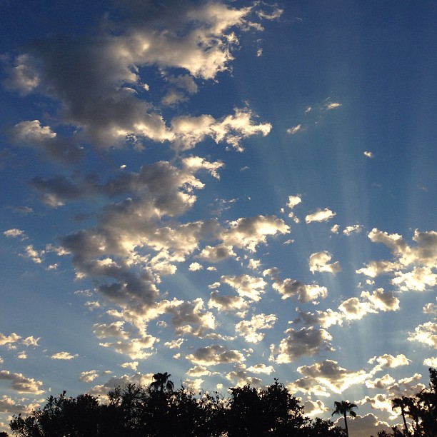 bright clouds with sunbeams and palms in the distance