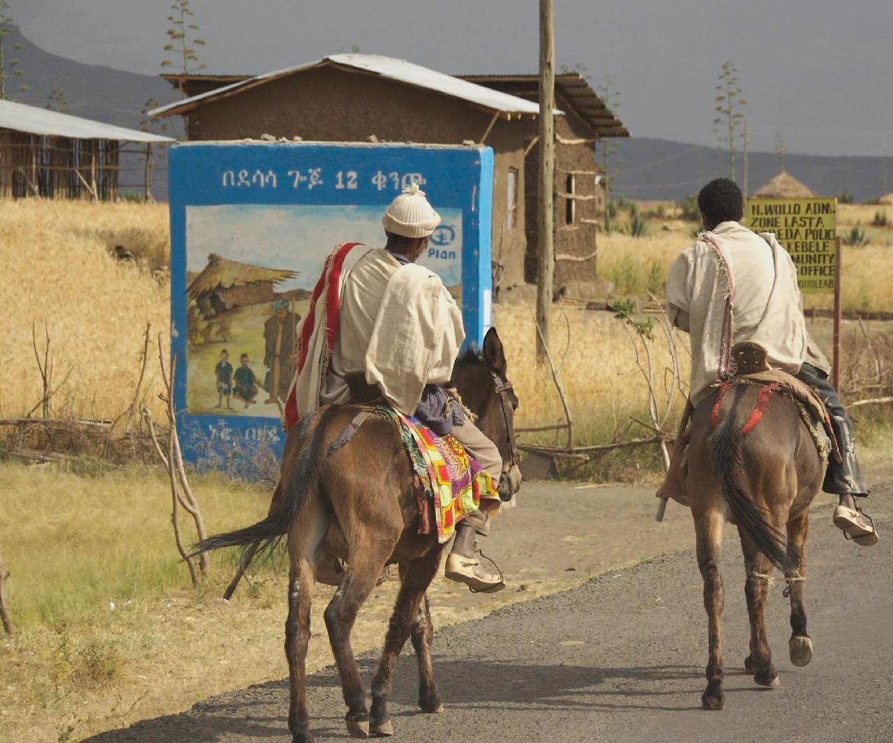 two people ride horses down a rural road