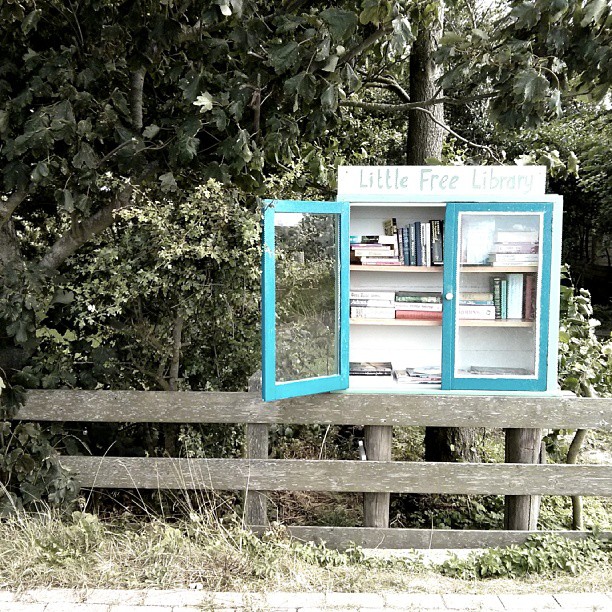 bookcase on the side of a wooden rail