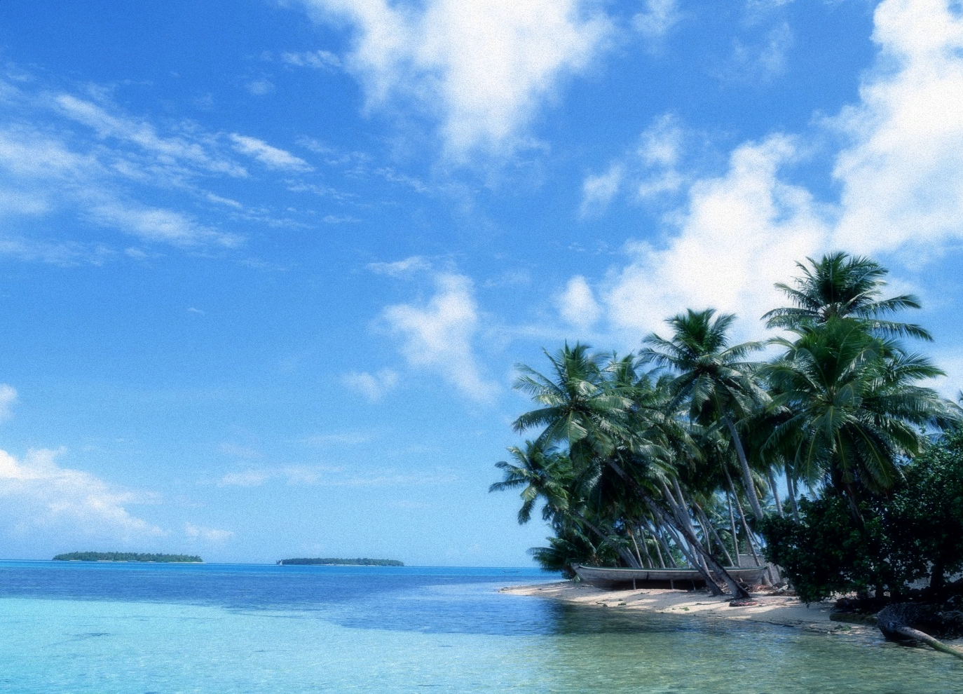 some very pretty clear blue water and some palm trees